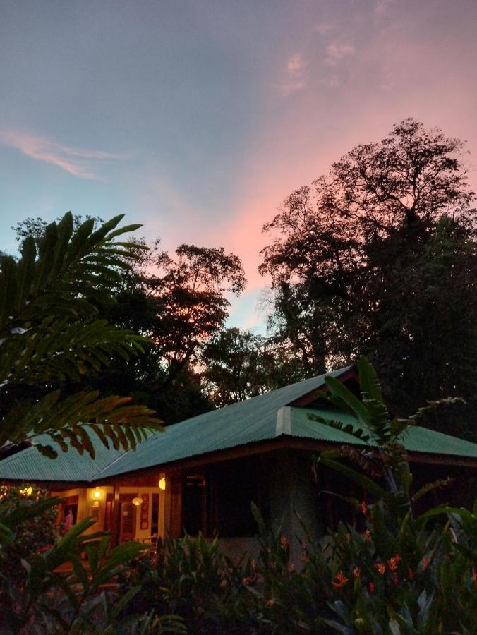 Geckoes Lodge Cocles Kültér fotó