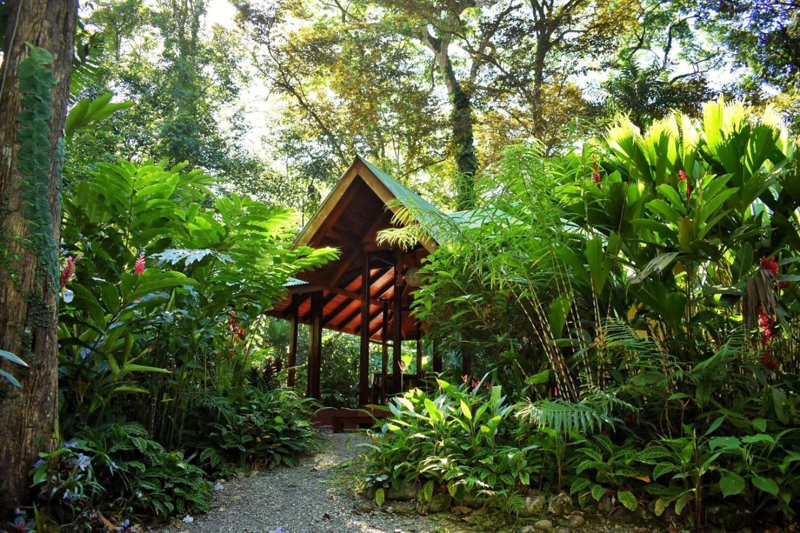 Geckoes Lodge Cocles Kültér fotó