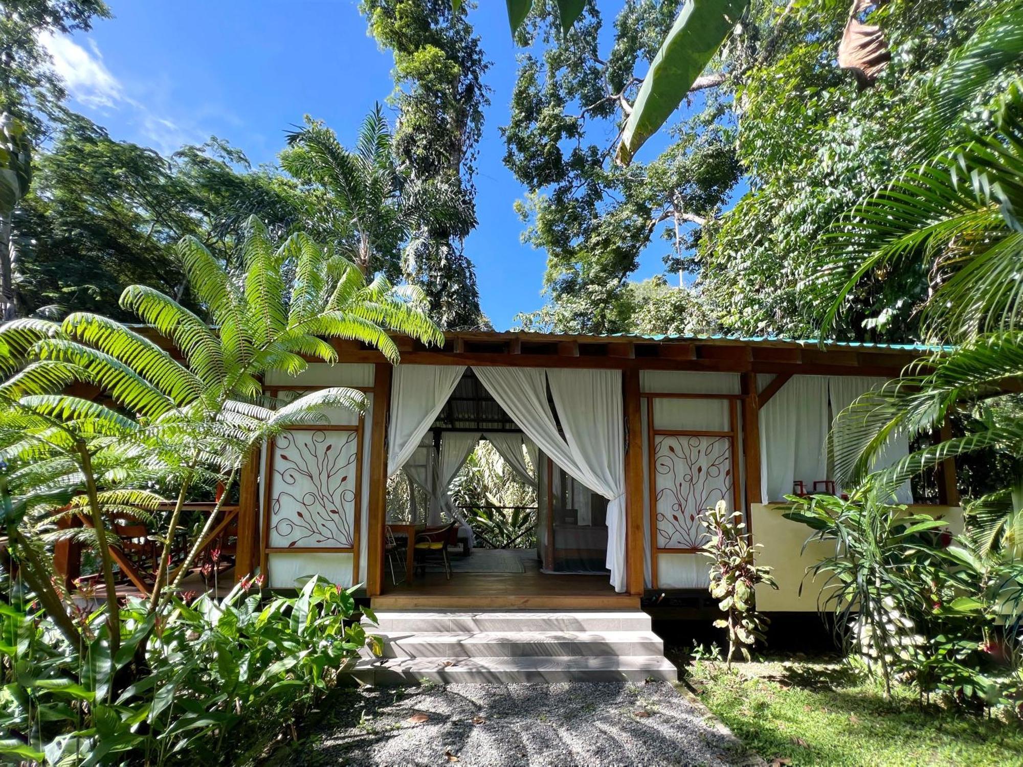 Geckoes Lodge Cocles Kültér fotó