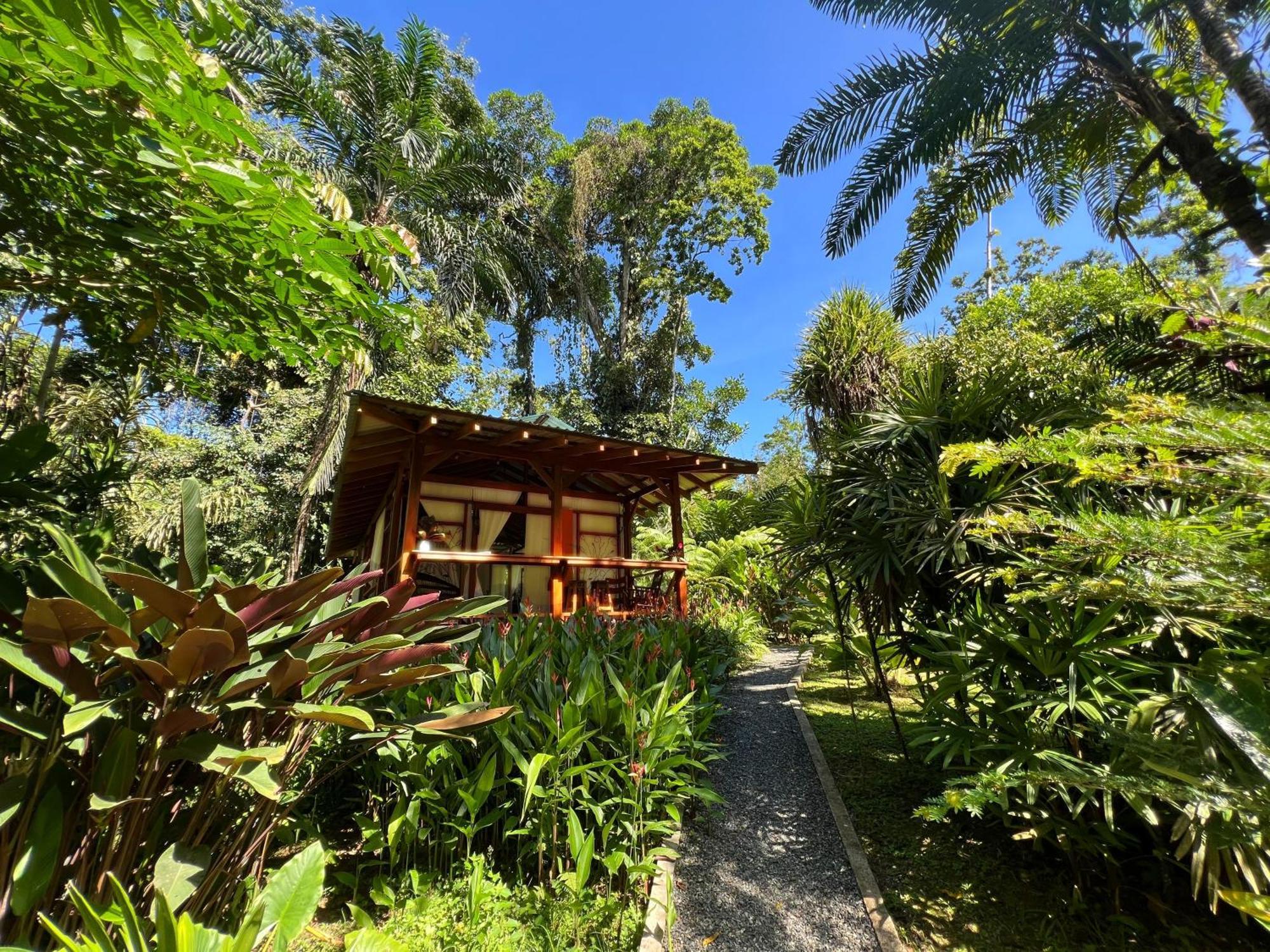 Geckoes Lodge Cocles Kültér fotó