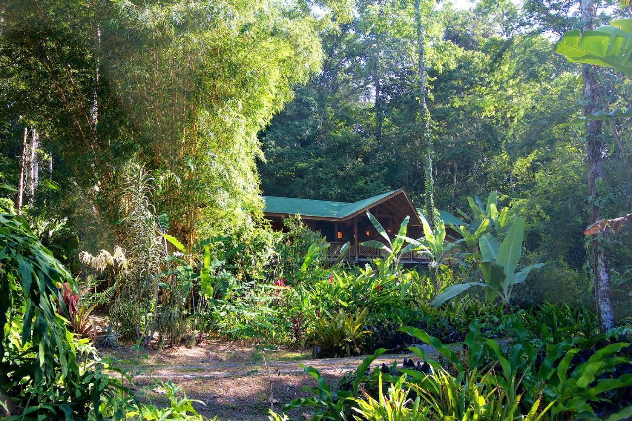 Geckoes Lodge Cocles Kültér fotó