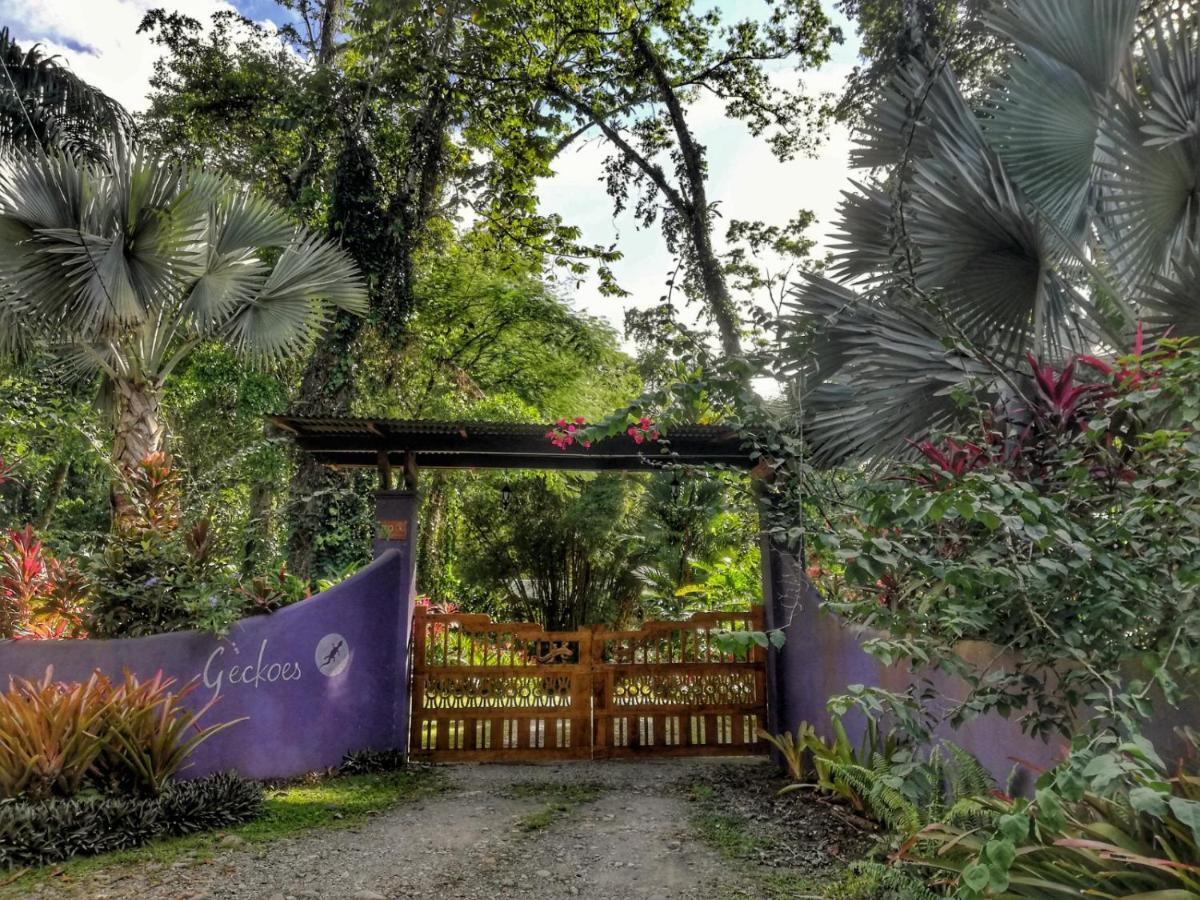 Geckoes Lodge Cocles Kültér fotó