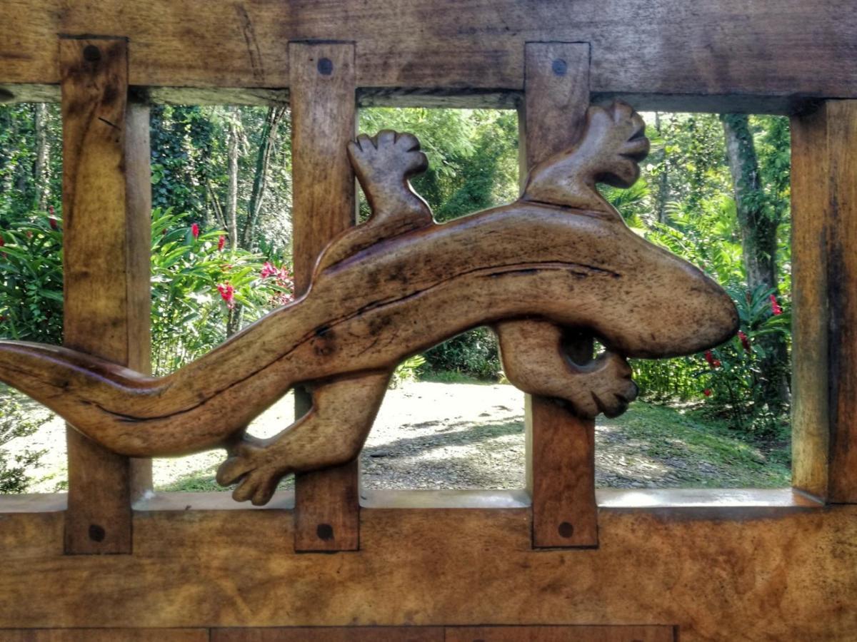 Geckoes Lodge Cocles Kültér fotó